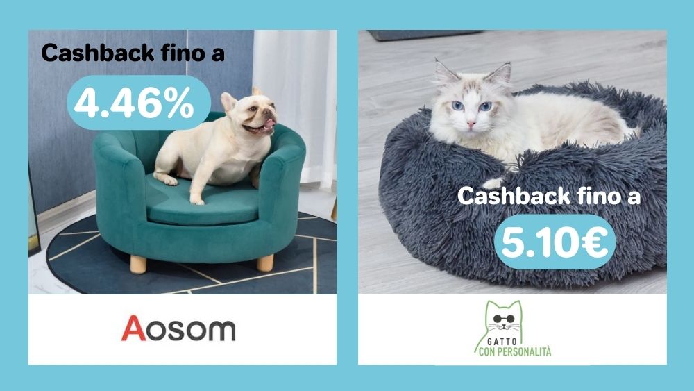 PandaCash cucce cane e gatto
